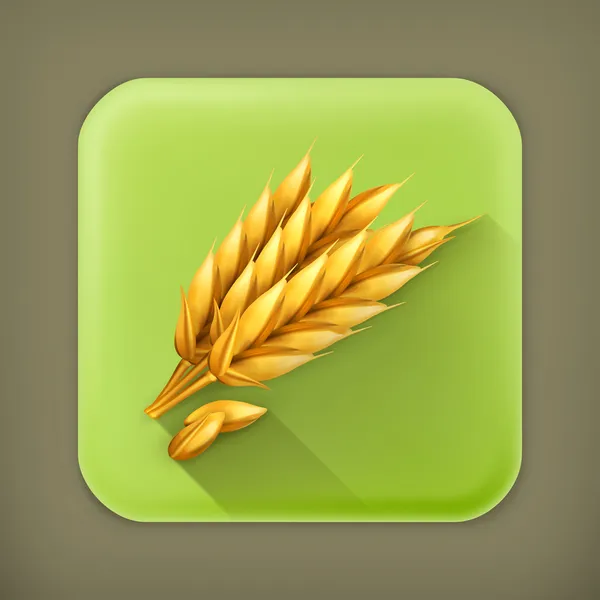 Wheat, long shadow vector icon — Stock Vector