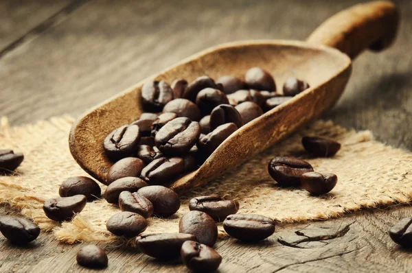 Coffee beans in scoop
