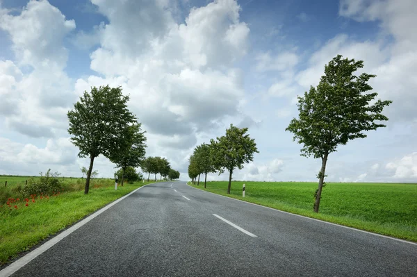Road with cloudy sky — Stock Photo, Image