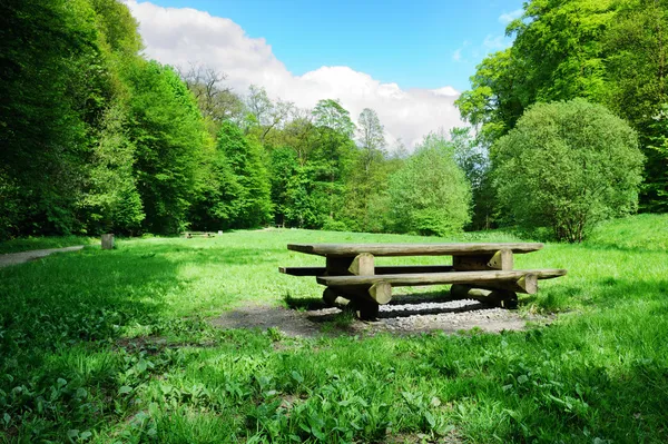 Lugar de picnic en la apertura del bosque — Foto de Stock