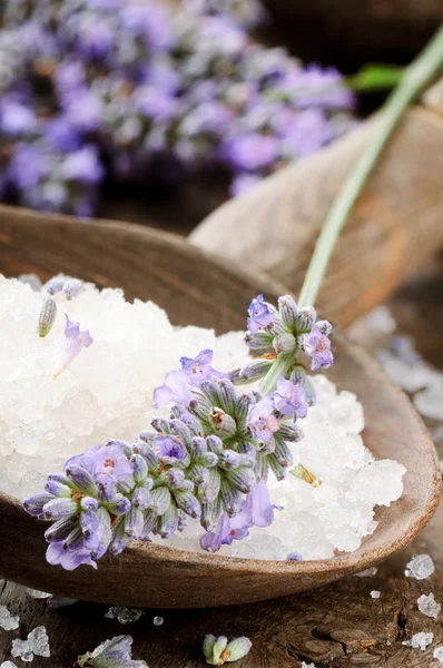 Meersalz und frischer Lavendel — Stockfoto