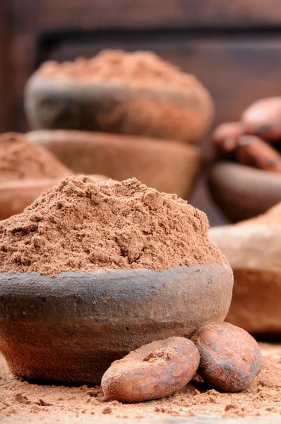 Cocoa powder and beans — Stock Photo, Image