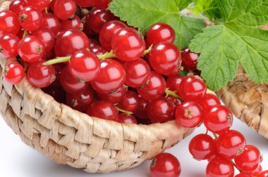 Red currant in the basket clipart