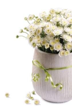 Beyaz anneler çiçekleri