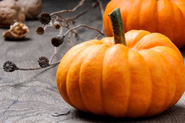 Kabak ile sonbahar natürmort