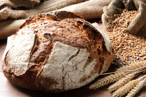 Freshly baked traditional bread — Stock Photo, Image