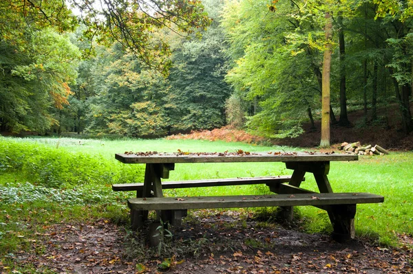 Posto picnic nella foresta — Foto Stock