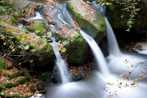 Cascata forestale — Foto Stock