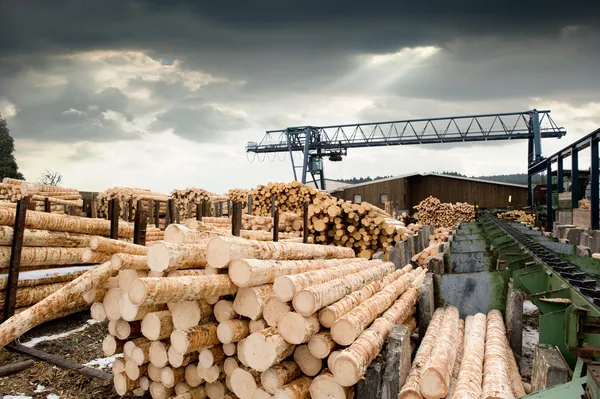 Sägewerk (Holzwerk)) — Stockfoto