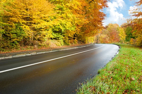 Droga na jesień — Zdjęcie stockowe