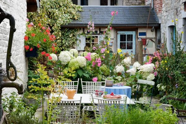 Vintage backyard — Stock Photo, Image