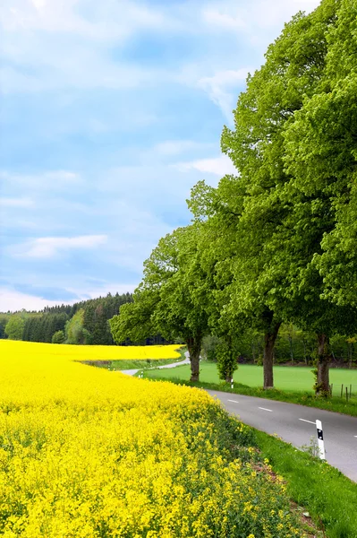 Landsvägen för att göra en kurva — Stockfoto