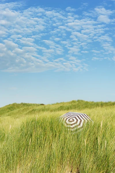 Дюнный пейзаж на голландском побережье — стоковое фото