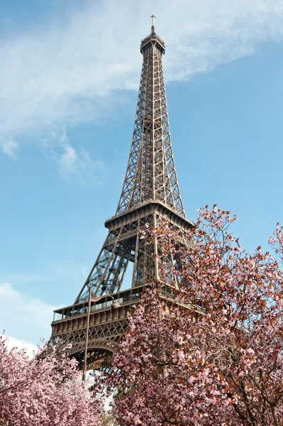 Springtime in Paris — Stock Photo, Image