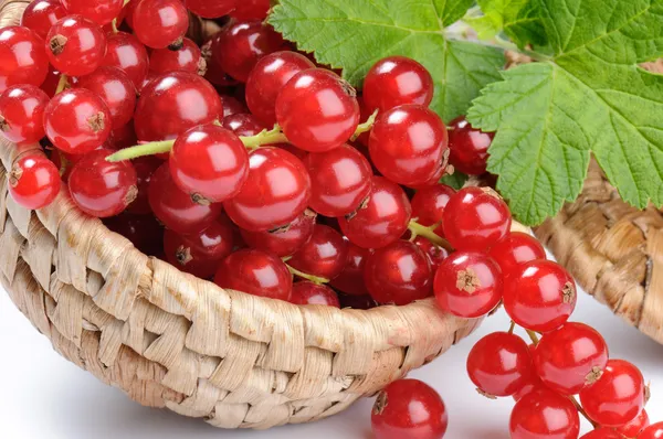 Red currant in the basket — Stock Photo, Image