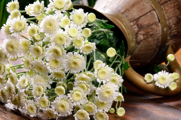 White chrysanthemums in vintage jug — Stock Photo, Image