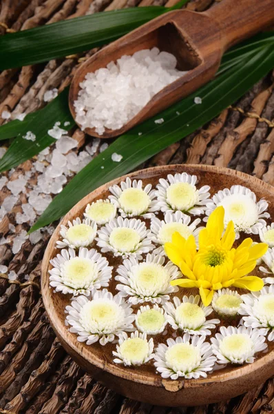 Spa set with sea salt and flowers — Stock Photo, Image