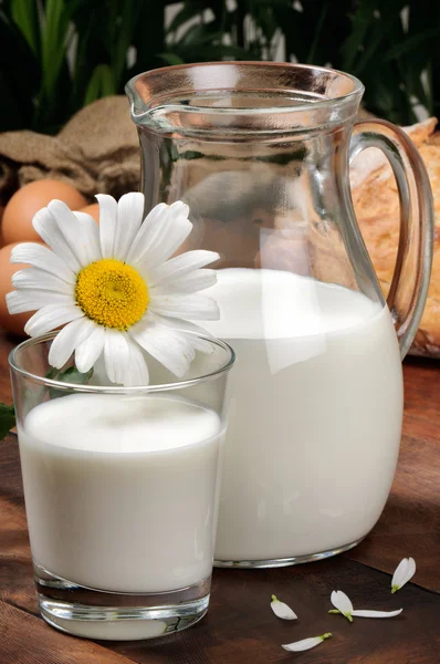 Pitcher of milk with daisy — Stock Photo, Image