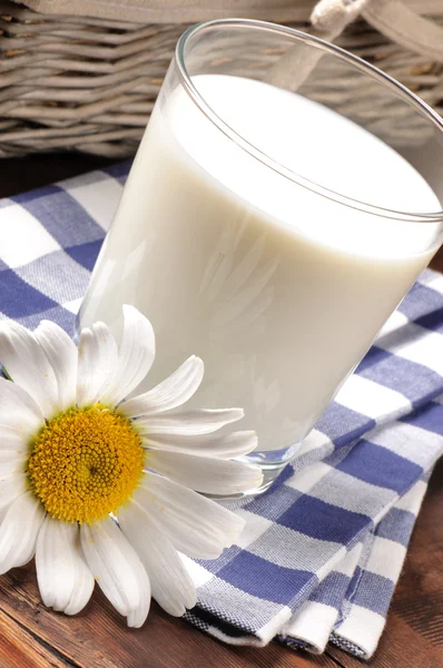 Vaso de leche con margarita —  Fotos de Stock