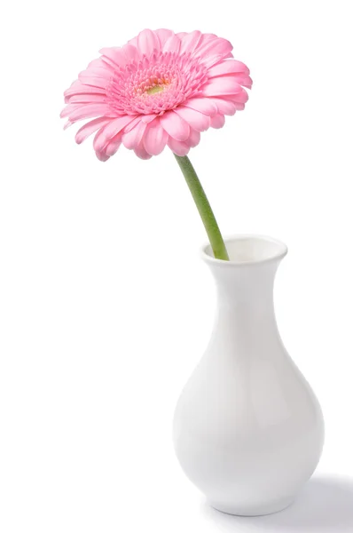 Ваза с розовой хризантемой — стоковое фото