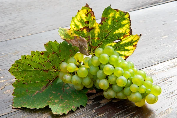 Fresh grape — Stock Photo, Image