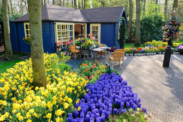 Flower shop in Keukenhof Gardens, Lisse, Netherlands — Stok fotoğraf