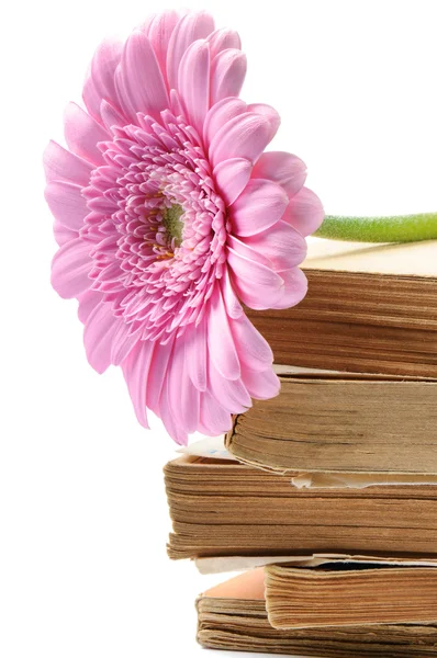 Montón de libros viejos con flor rosa de la madre — Foto de Stock