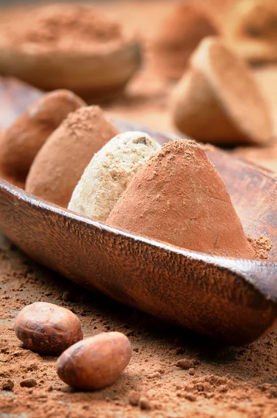 Sélection de truffes au chocolat — Photo