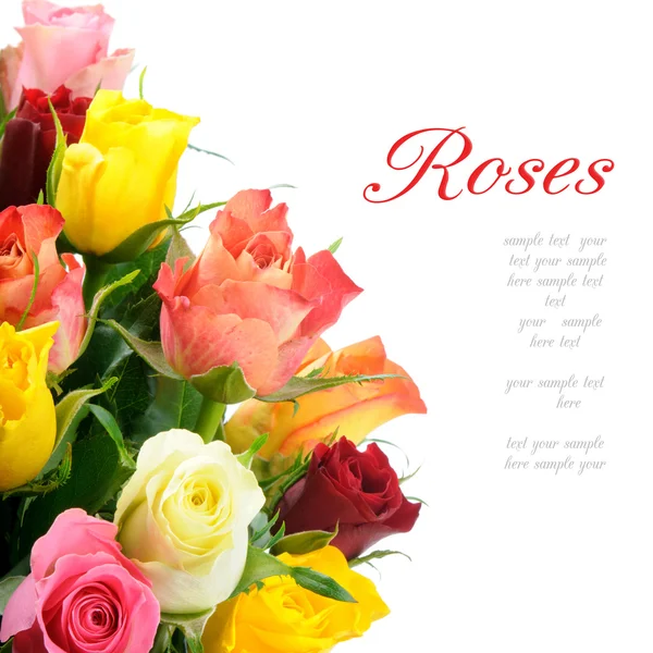 Bouquet of multicolored roses — Stock Photo, Image