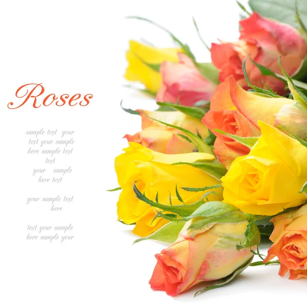 Buquê de rosas multicoloridas — Fotografia de Stock