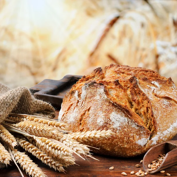 Vers gebakken traditioneel brood — Stockfoto