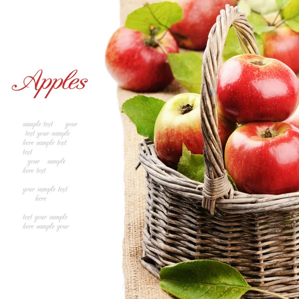 Fresh organic apples in wicker basket — Stock Photo, Image
