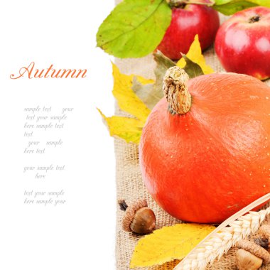 kabak ve elma ile sonbahar natürmort