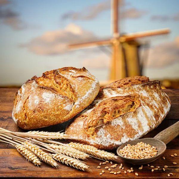 Vers gebakken traditioneel brood — Stockfoto