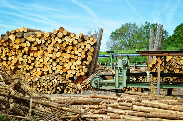 Sawmill (lumber mill) — Stock Photo, Image