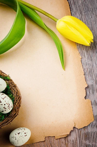 Velikonoční rám s žlutý Tulipán a vinobraní papír — Stock fotografie