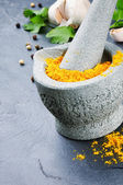 Mortar and pestle with curry powder