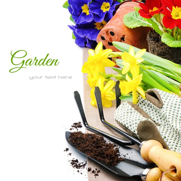 Ferramentas de jardim e flores coloridas — Fotografia de Stock