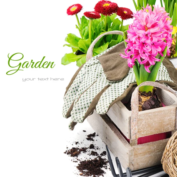Kleurrijke bloemen en tuingereedschap — Stockfoto