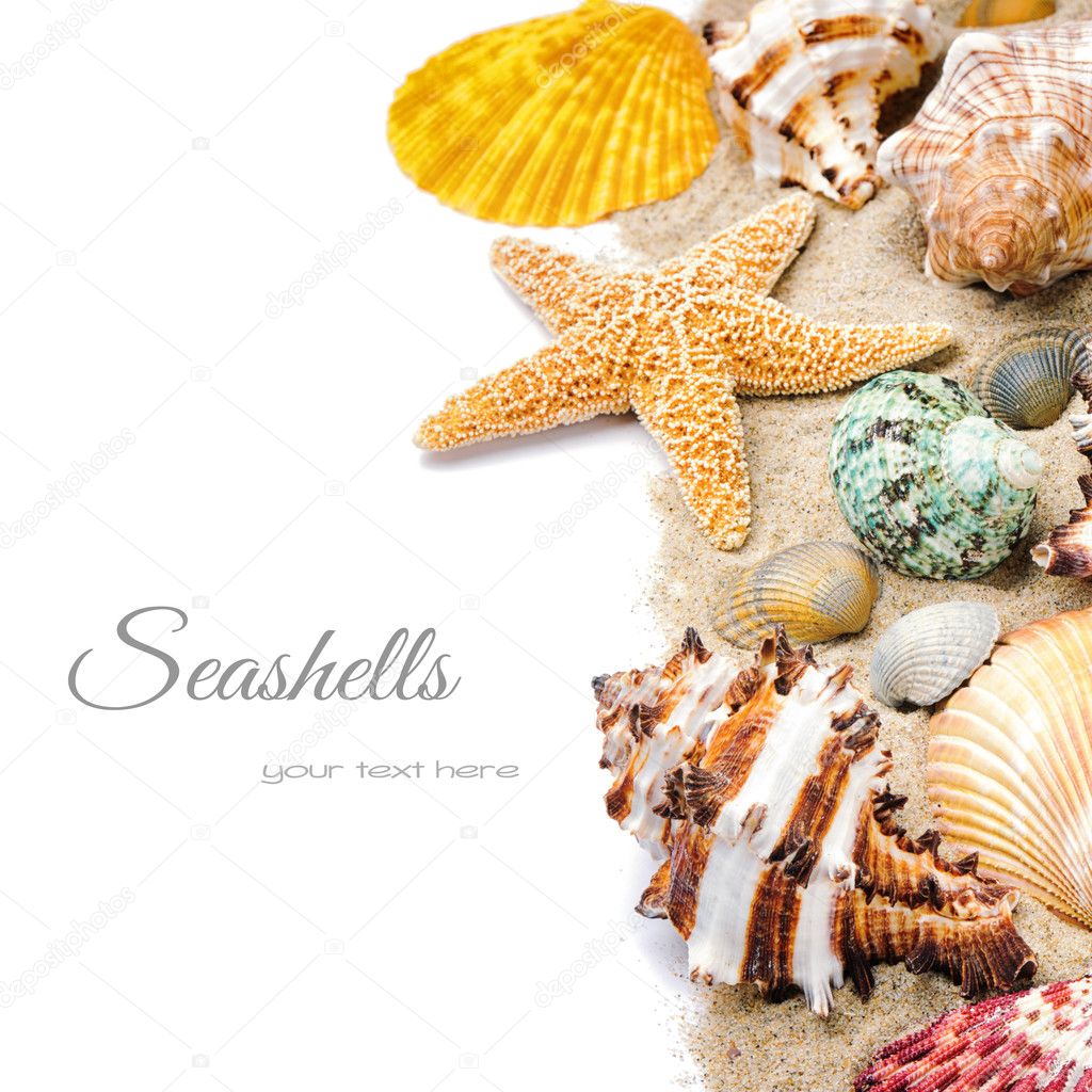 Colorful seashells on sand