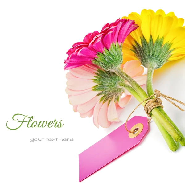 Flores de gerbera coloridas com etiqueta de presente — Fotografia de Stock