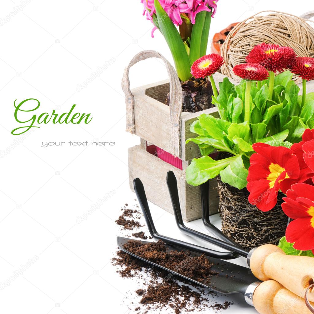 Fresh flowers with garden tools