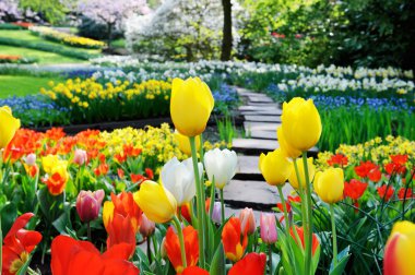 Bahar park yolu