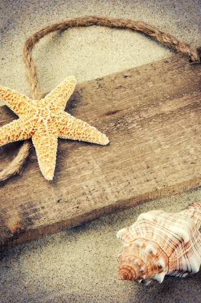 Old wooden board with seashells — Stock Photo, Image