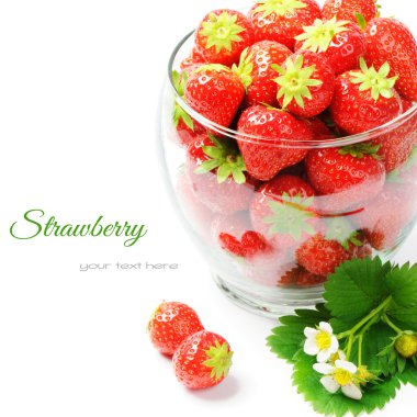 taze çilek beyaz bitti izole