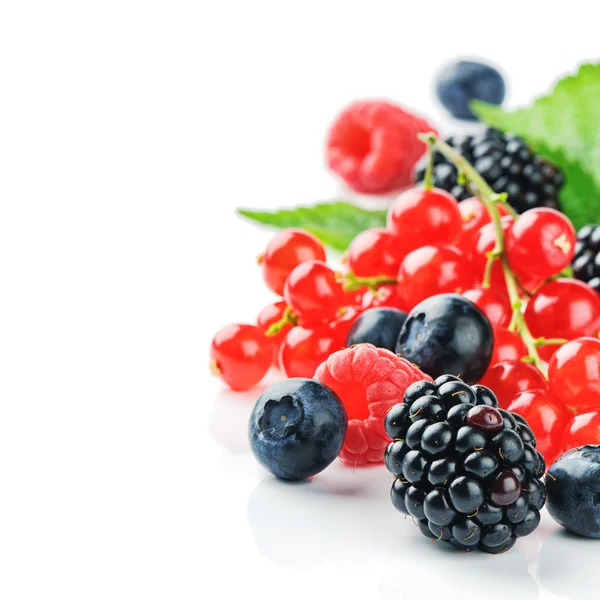 Fresh organic berries — Stock Photo, Image
