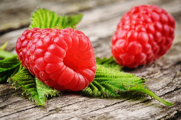 Fresh organic raspberry — Stock Photo, Image