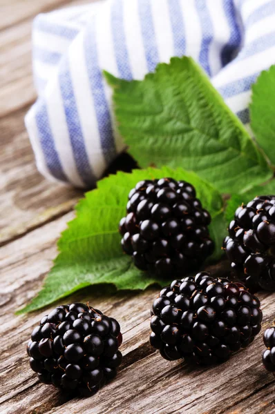 Moras orgánicas frescas — Foto de Stock