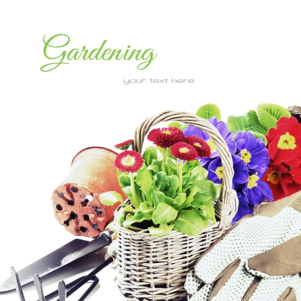 Fiori colorati e attrezzi da giardino — Foto Stock