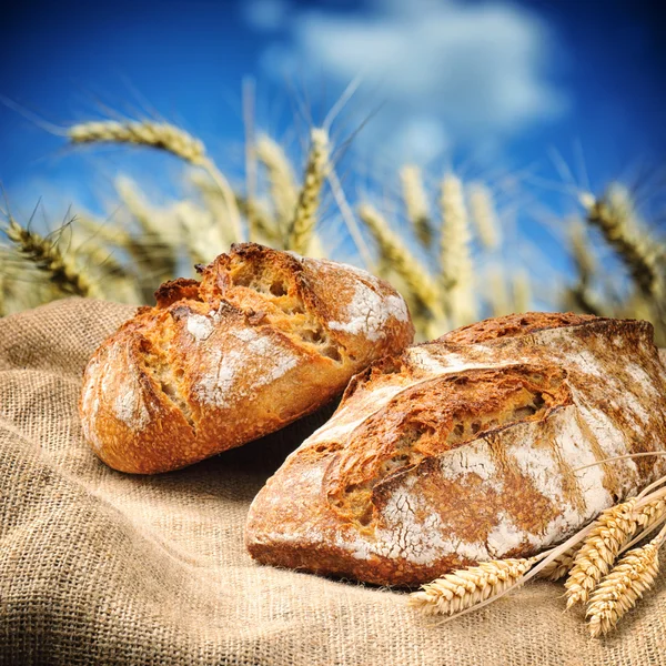 Freshly baked traditional bread with wheat field on background — Stock Photo, Image